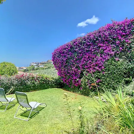 Bohome Nest By Lovelystay * Arco da Calheta (Madeira)